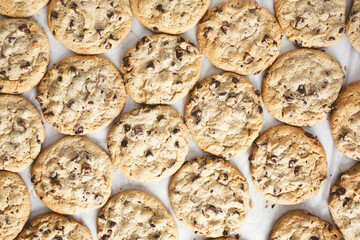 A top down view of a baking tray full of large chocolate chip cookies.