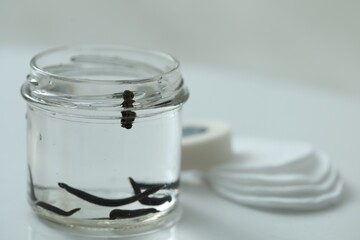 Medicinal leeches in glass jar and cotton pads on white table, closeup. Space for text