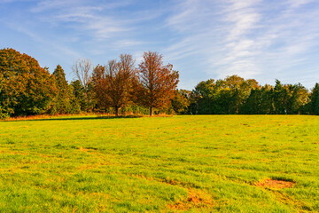 English countryside in West Sussex, UK