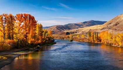 usa washington state kittitas county fall colors along the yakima river in kittitas county