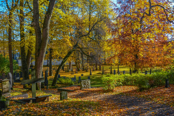 View of the 11th century Nidaros Cathedral cemetery in autumn with red and golden foliage in Trondheim, Norway