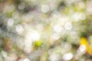 A blurry image of a green background with pink flowers