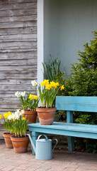 Rustic Spring Corner: A weathered wooden bench painted in sky blue, surrounded by terracotta pots filled with tulips, daffodils, and hyacinths, with a vintage watering can acting as a vase for wildflo