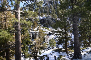 winter