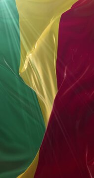 Guinea flag. Loop. 4K Vertical