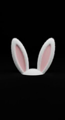 Fuzzy white bunny ears on black background with soft pink inner ears