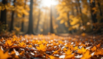 Autumnal Sunlight Filters Through a Forest Path Covered in Fallen Leaves