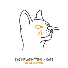 Conjunctivitis in cats. Linear icon, pictogram, symbol.