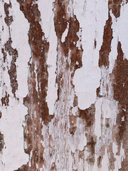 A wooden surface with peeling white paint, revealing the aged and weathered wood beneath