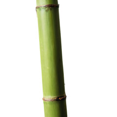 Fototapeta premium Bamboo stick isolated on transparent background