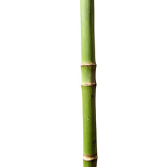 Obraz premium Bamboo stick isolated on transparent background