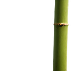 Fototapeta premium Bamboo stick isolated on transparent background