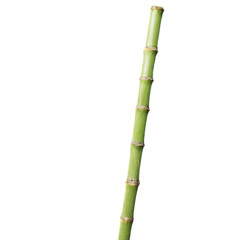 Obraz premium Bamboo stick isolated on transparent background