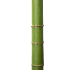 Fototapeta premium Bamboo stick isolated on transparent background