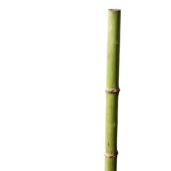 Obraz premium Bamboo stick isolated on transparent background
