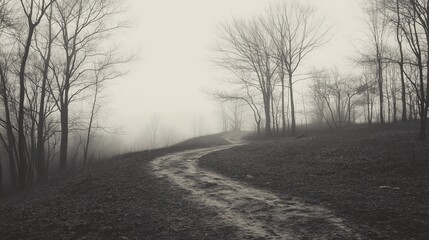 Fototapeta premium A path through a forest with trees on either side. The path is muddy and wet, and the sky is cloudy. Scene is somber and melancholic