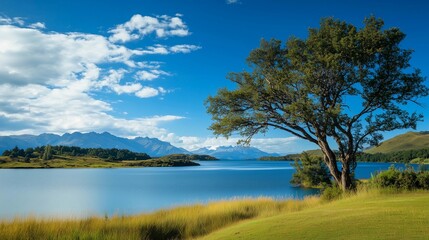 Fototapeta premium A beautiful lake with a tree in the foreground. The sky is blue and the water is calm