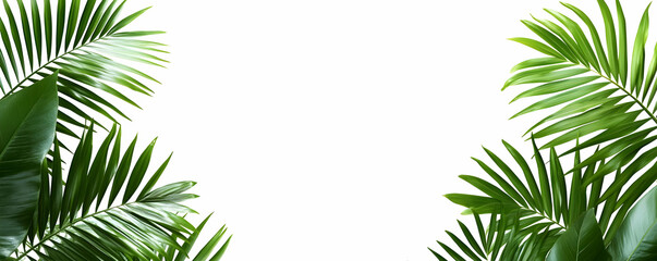 Lush tropical palm leaves frame