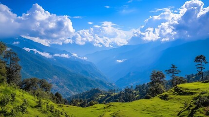 Fototapeta premium A beautiful mountain range with a clear blue sky. The mountains are covered in trees and the grass is lush and green. The scene is peaceful and serene