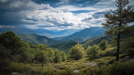 Fototapeta premium A beautiful mountain range with a cloudy sky and a tree in the foreground. The mountains are covered in lush green trees, creating a serene and peaceful atmosphere