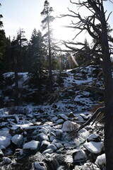 beautiful river and waterfall at Lake Tahoe in winter
