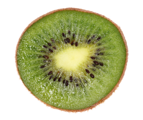 Close up fresh kiwi fruit slice isolated on white, top view