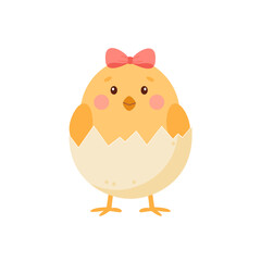 Cute  little chicken hatched from an egg.