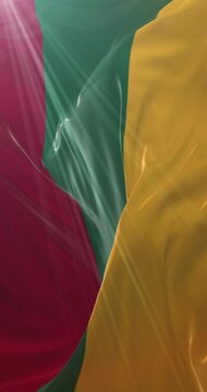 Flag of Lithuania. Loop. 4K Vertical