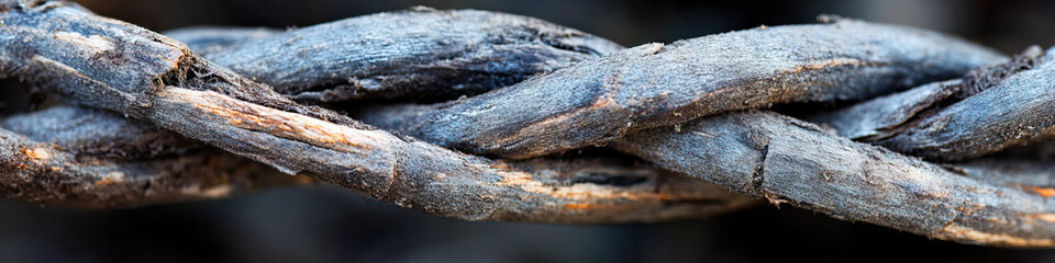 Interwoven Weathered Wooden Strands