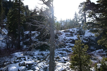 beautiful river and waterfall at Lake Tahoe in winter