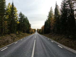 Scenic Autumn Road through Northern Forests
