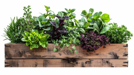 Fototapeta premium herbs in a wooden box