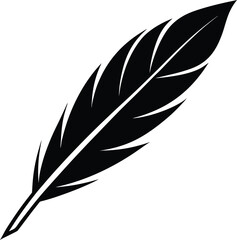 Obraz premium A feather with smooth and sharp edges fully black in color. Fragment of a feather of a bird of gray color photographed closeup (10).eps
