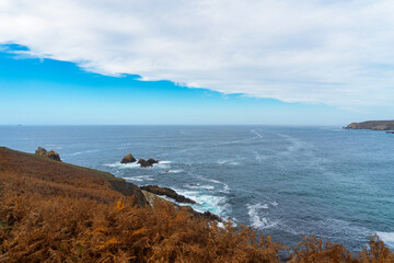 Obraz premium Vagues et écume entourent les rochers immergés de la baie des Trépassés en automne. Au premier plan, des fougères aux teintes dorées contrastent avec les falaises et la mer bleu profond de la côte bre