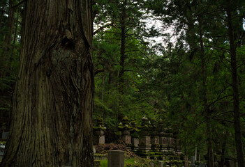 Ancient cemetery at sunset inside a forest, on Mount Koya, Okuno-in or Okunoin cemetery is a sacred area cemetery. In Wakayama prefecture, south of Osaka in Japan.