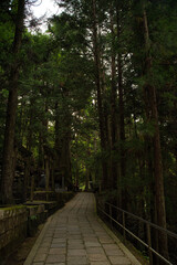 Obraz premium Vertical photograph of the old cemetery at sunset inside a forest, on Mount Koya, Okuno-in or Okunoin cemetery is a sacred area cemetery. In Wakayama prefecture, south of Osaka in Japan.