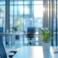 Modern Office Plant Sunlight Desk Workspace