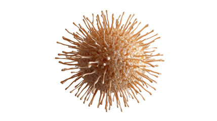Obraz premium Virus cell rotating on transparent background, 3d render