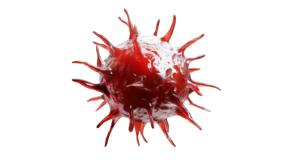 Red virus cell rotating on transparent background: 3d render