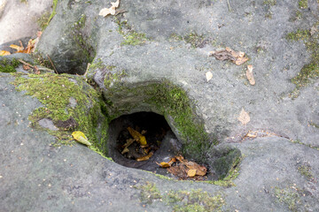 Nature monument Urochische Chertovo Gorodische settlement in the national park Ugra. Kozelsk, Russia