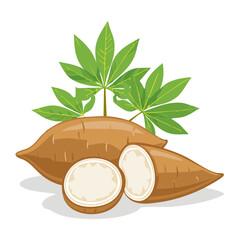 Tapioca root with leaves vector color illustration in line art style. Sketch drawing of cassava plant for making bubble tea. For packaging and design.