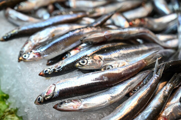 Fresh anchovy in the fish market. Fish for sale.