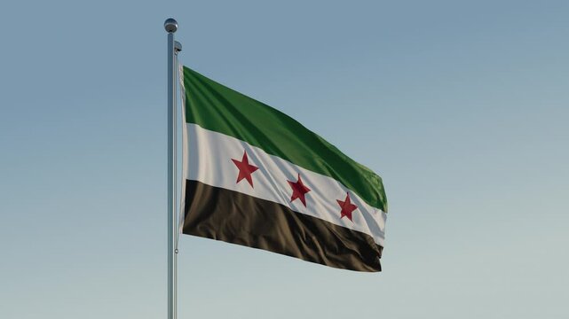 Syria Damascus Green Flag loop Cinematic Realistic Waving Blue Sky