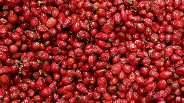 Red Rose Hip for sale in market. Dried rose hip on a pile, close up. 