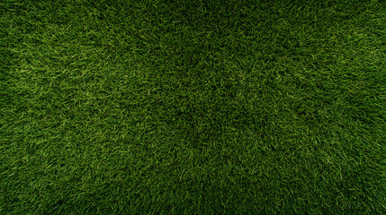 Obraz premium A vibrant green lawn stretches across the frame, filled with individual blades of grass and subtle color variations, giving the impression of a healthy, lush surface.