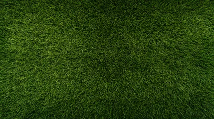 Wall murals A vibrant green lawn stretches across the frame, filled with individual blades of grass and subtle color variations, giving the impression of a healthy, lush surface.