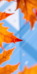 Obraz premium Blurred autumn maple leaves with vibrant orange tones against a modern glass building background