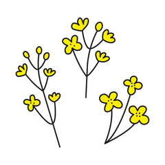 Doodle yellow rapeseed canola flowers isolated on white background.