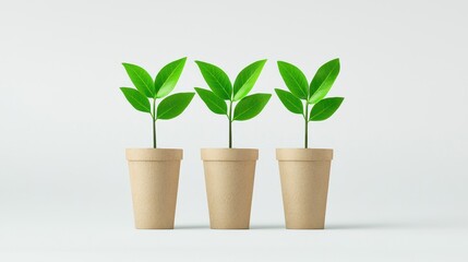 Potted Green Plants with Fresh Leaves on White Background