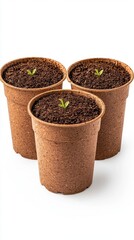 Small Green Sprouts Emerging from Soil in Eco-Friendly Pots